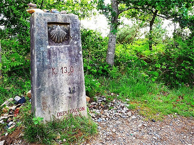 Wir freuen uns auf Santiago !