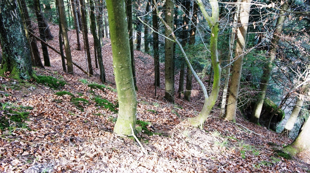 Blick vom Inneren hinunter in den Graben