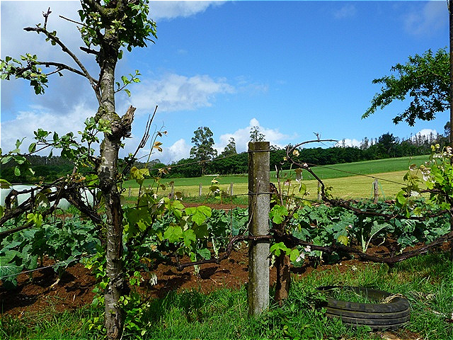 Mittags - Sonne und blauer Himmel