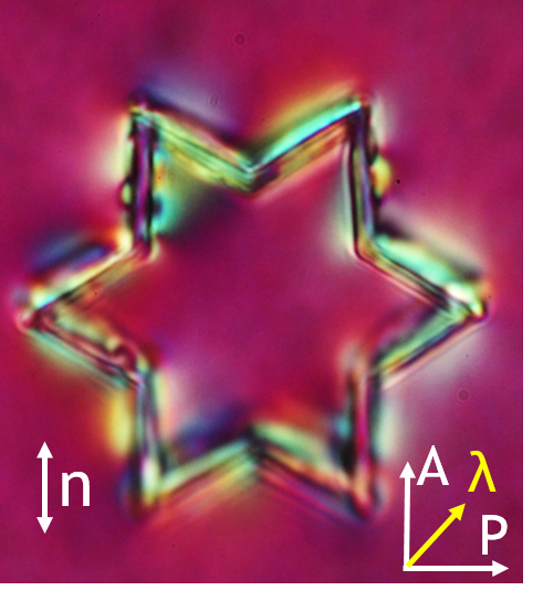 Koch fractal nematic colloid - 1st iteration