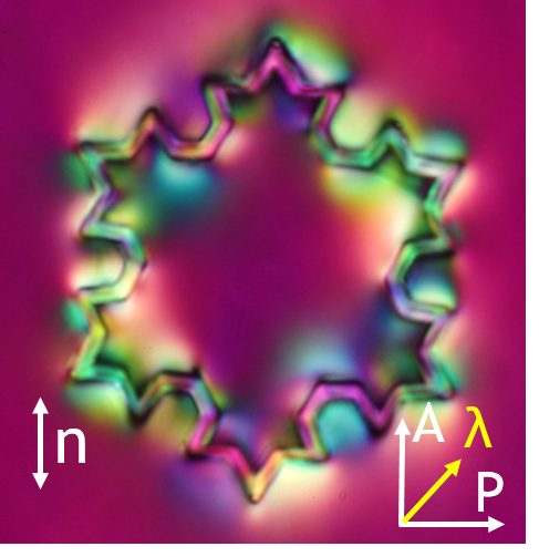 Koch fractal nematic colloid - 2nd iteration