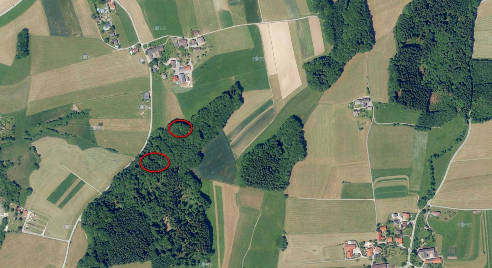 Lageplan - Seeholz Wichenham