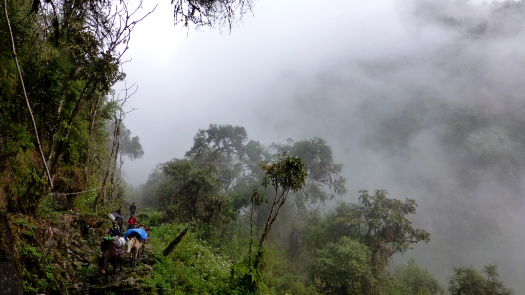 In der Waschküche des Regenwaldes