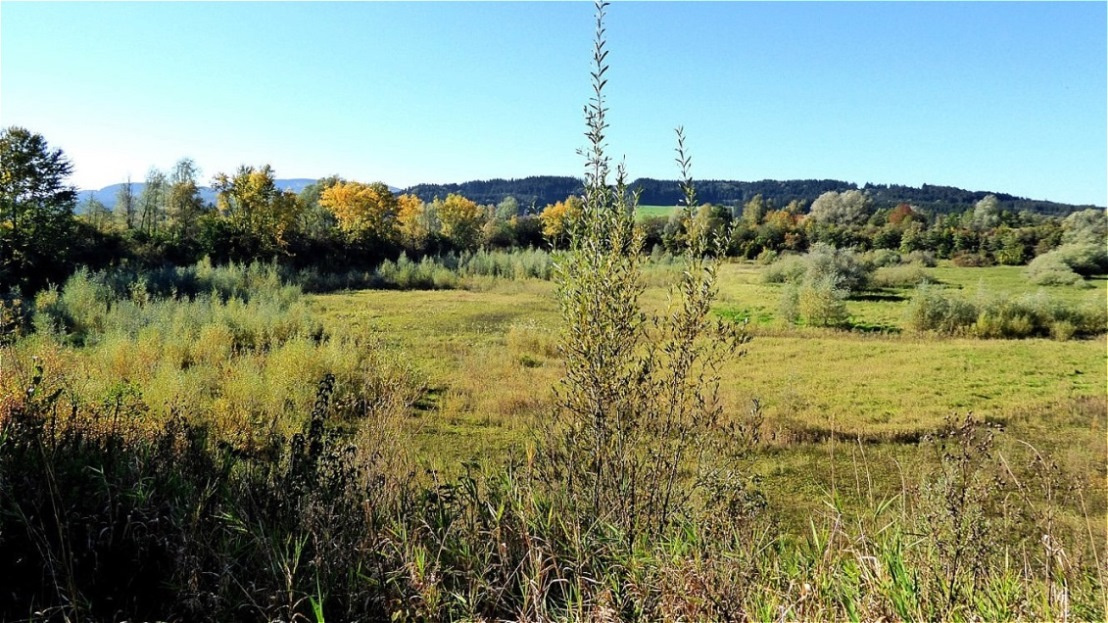 Ausgleichsbecken Lengau in der Trockenzeit
