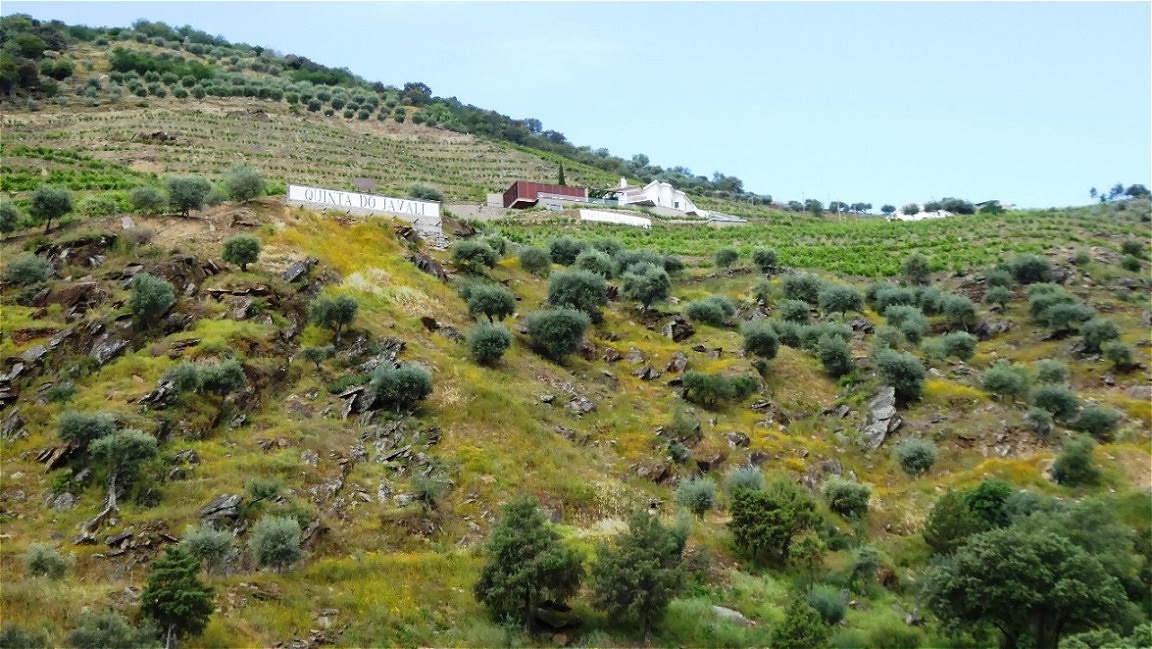 Quinta hoch über dem Douro