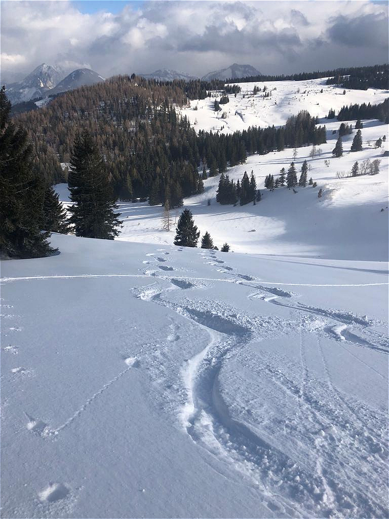 Zwölferhorn 28.02.2020