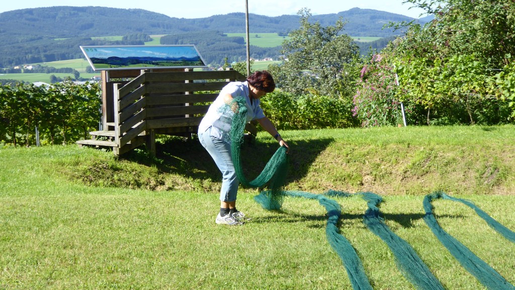 Anneliese beim Entwirren