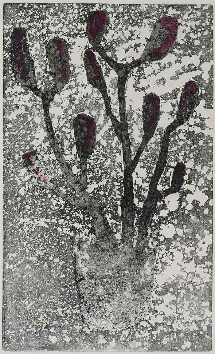 hand made etching print of flowers by Contemporary Welsh artist Mark Lloyd Williams