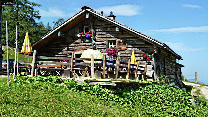 Zwieselalm Hütte (1.436 m) inmitten traumhafter Natur