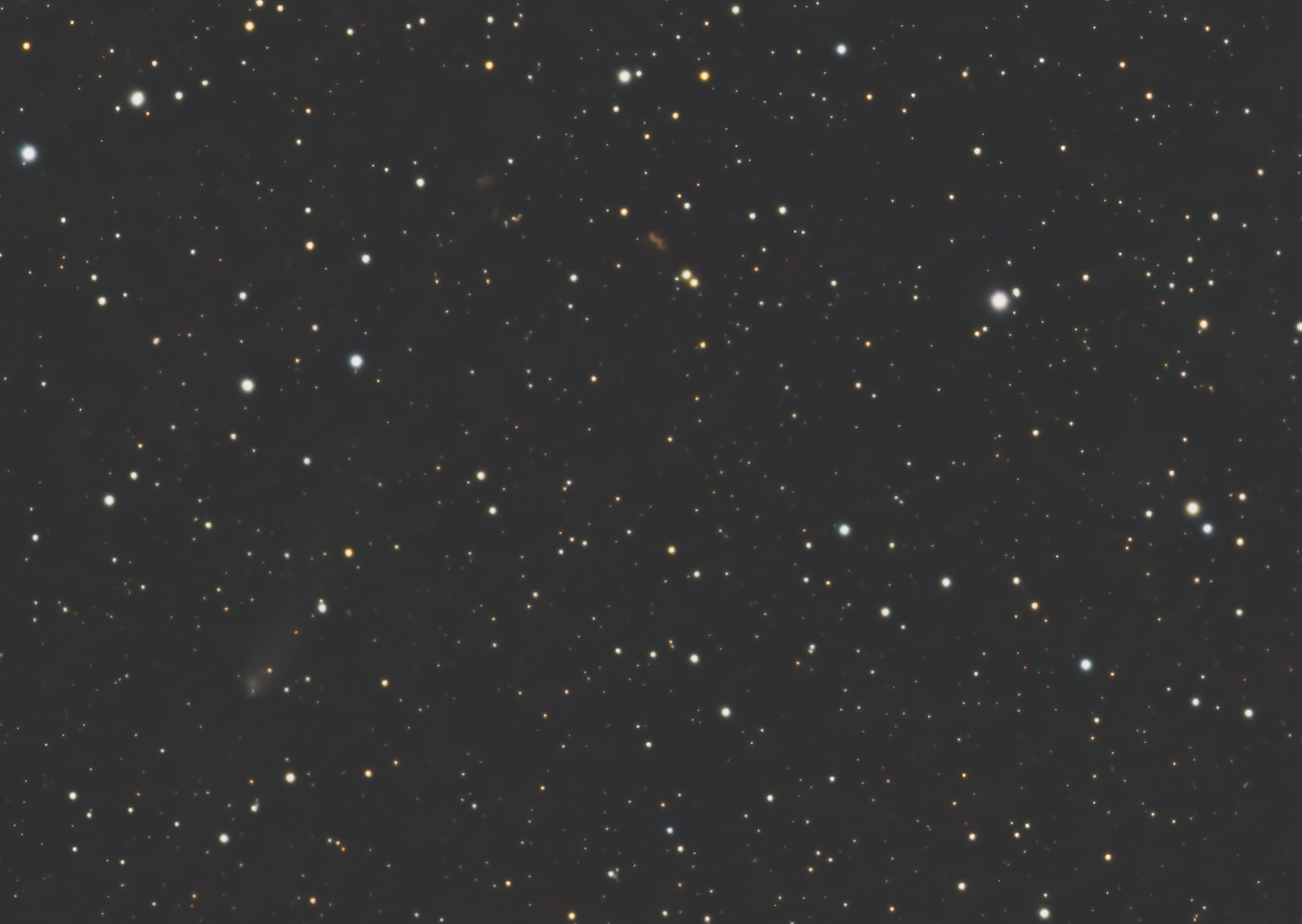 C/2022 E2 (ATLAS)
4.02.2025 (RA 1h 29', DEC 53°53')
D850, 600mm f/4+1.4TC (840mm, f/5.6)
1h (5min. each), ISO 800
