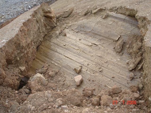 <h3 class="h3-slid">
Odkopana drsna ravnina
</h3>
<p class="p-slid">
globokega fosilnega plazu na Rebernicah
</p>