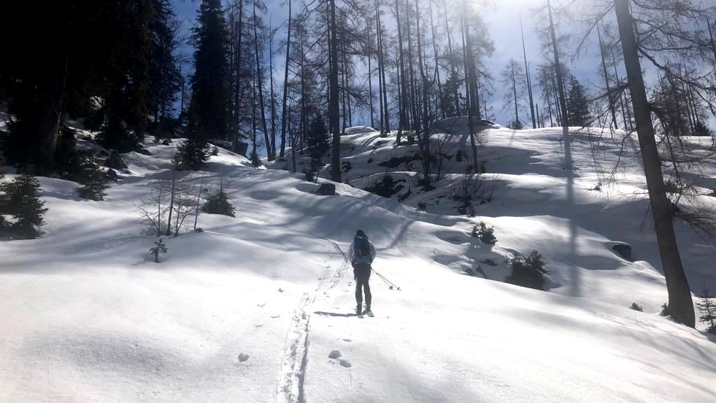 Endlich auf dem Schnee