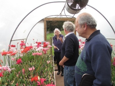 New member Susyn Andrews discussing the plants with Steve.