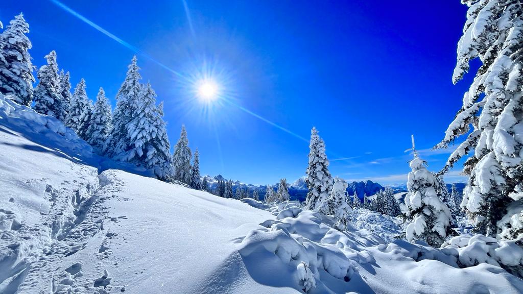 Samstag, 4. November 2023 - Auf dem Weg zur Goiserer Hütte