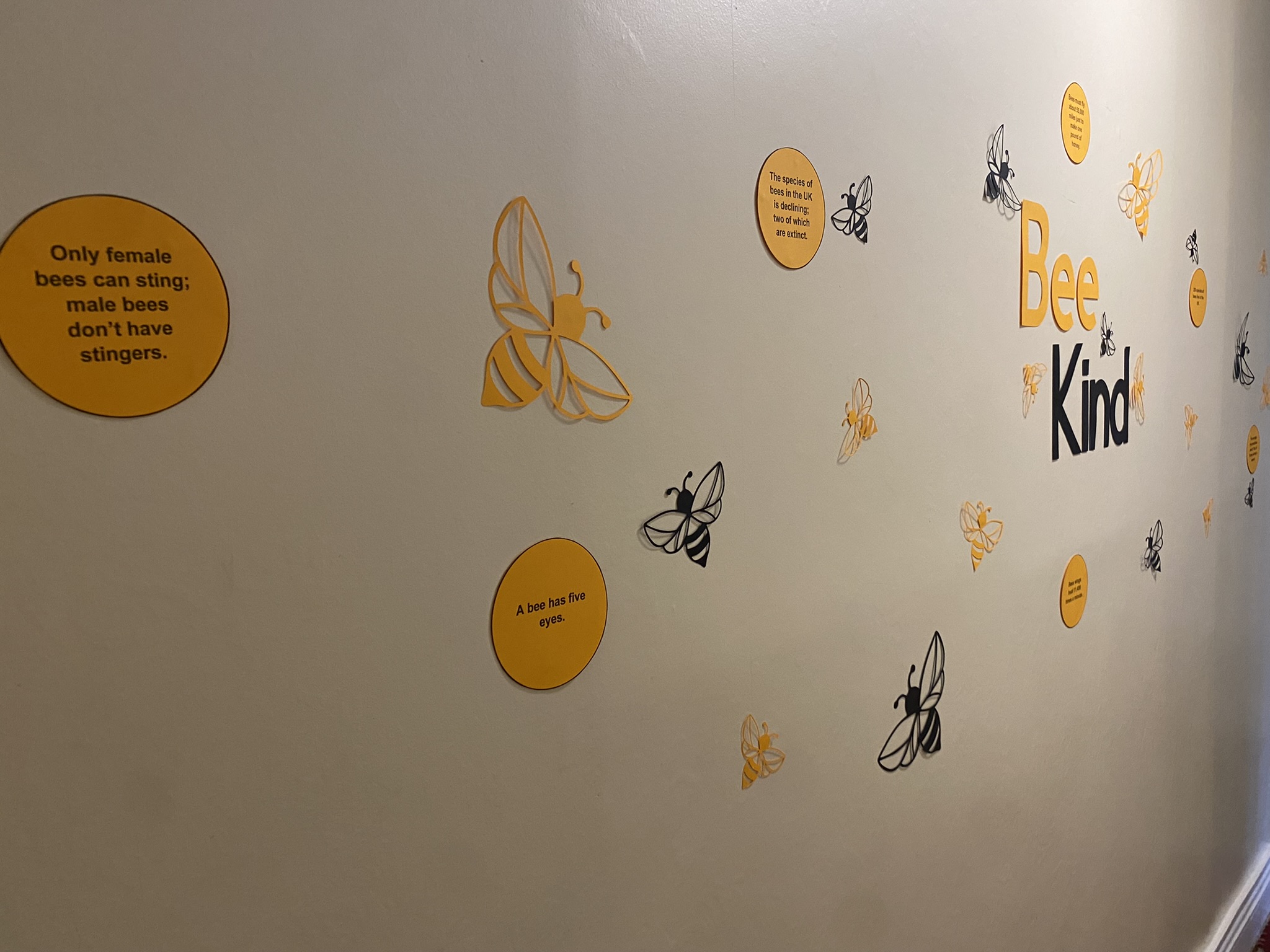 Don't Step on a Bee Day  - Bee Kind- July 2022