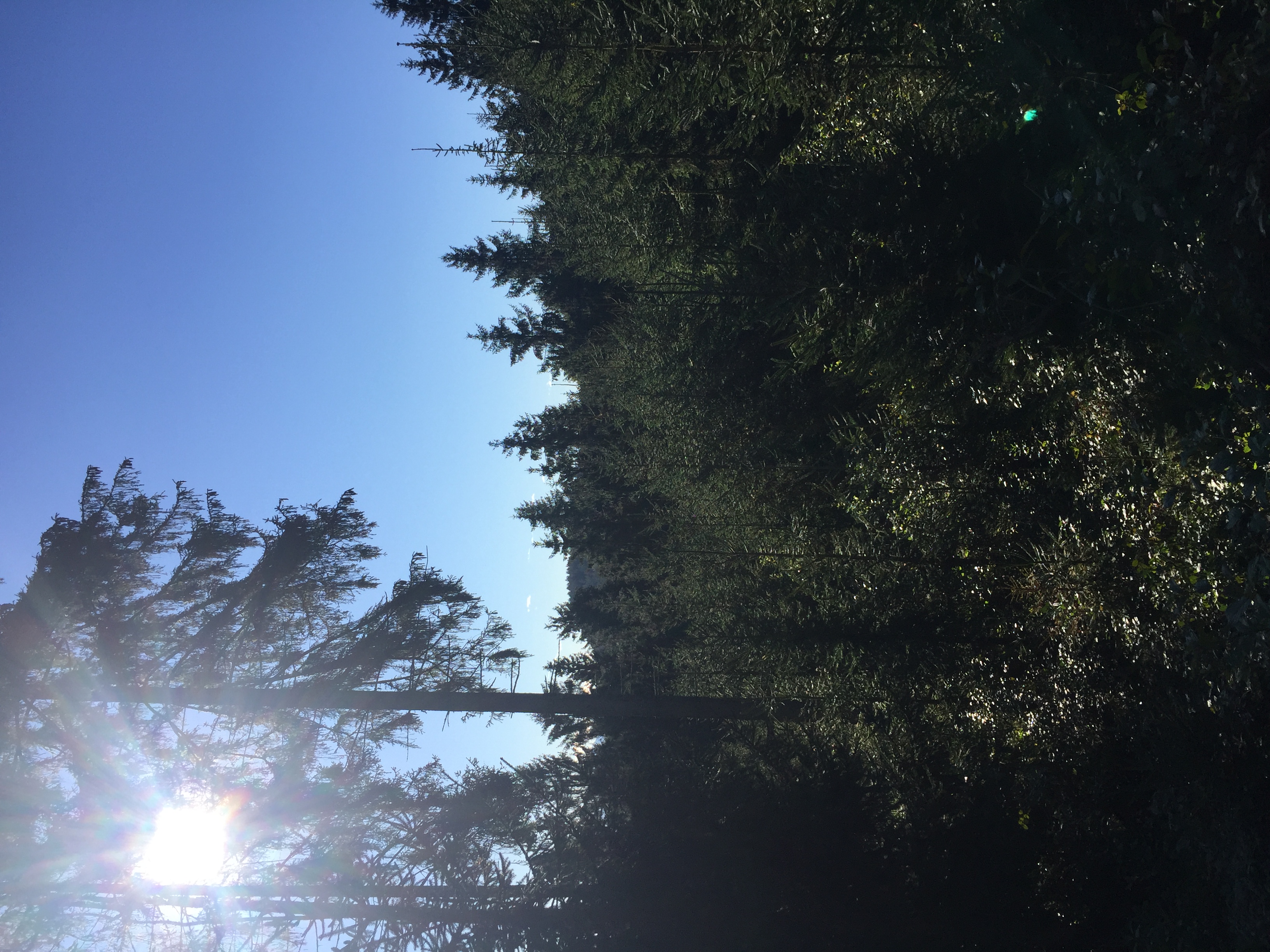 https://0501.nccdn.net/4_2/000/000/06b/a1b/img_0868.jpg