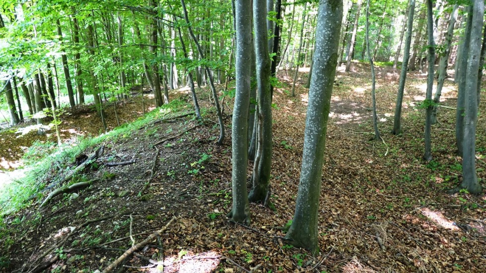 Doppelwall und Graben im Westen