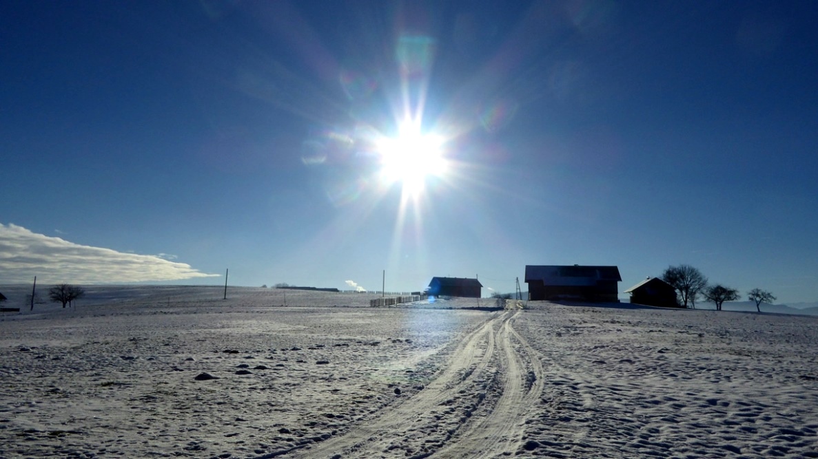 Im gleißenden Sonnenlicht