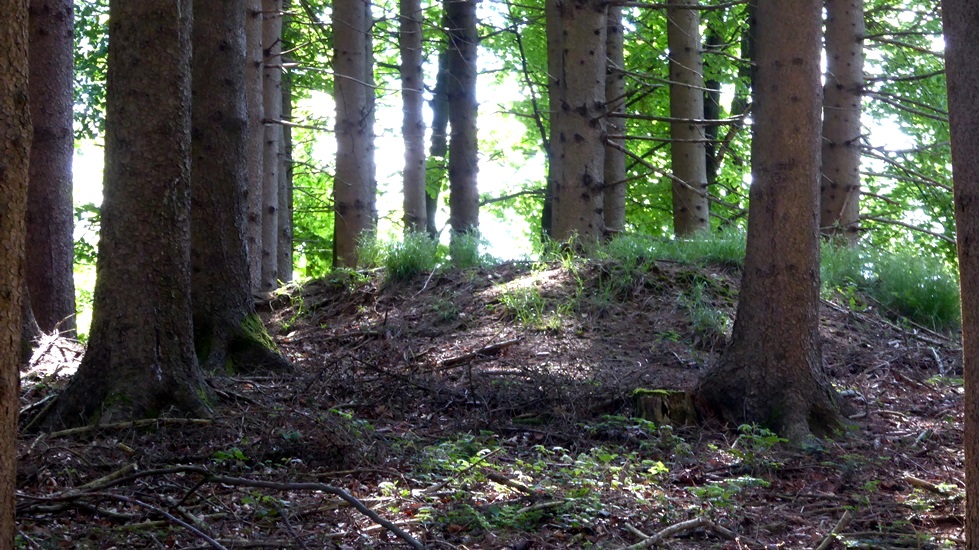 Tumulus an der höchsten Stelle im Wald