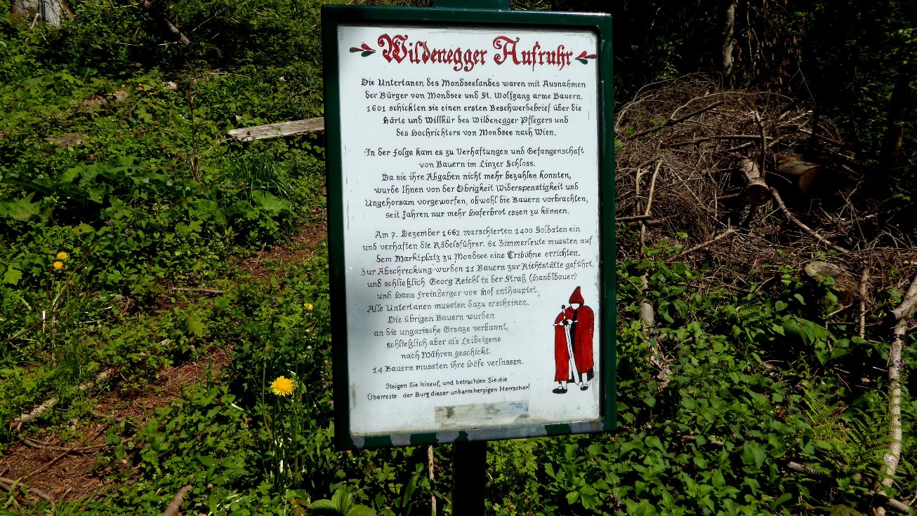Geschichte der "Wildenegger Aufruhr"