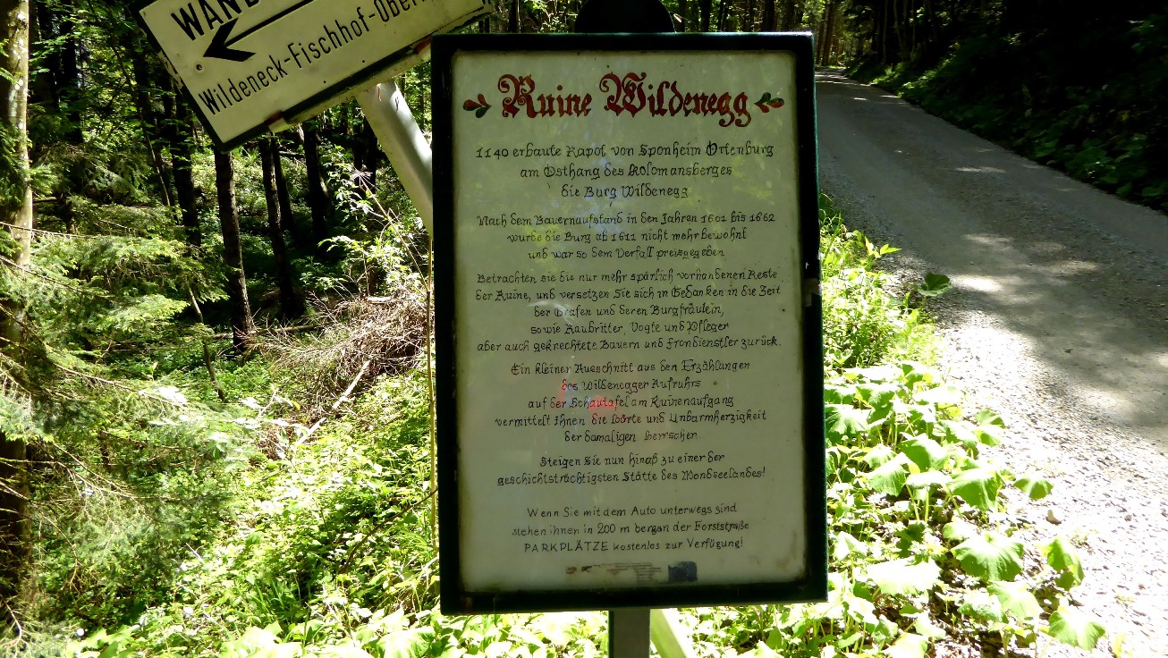 Ruine Wildenegg über dem Irrsee