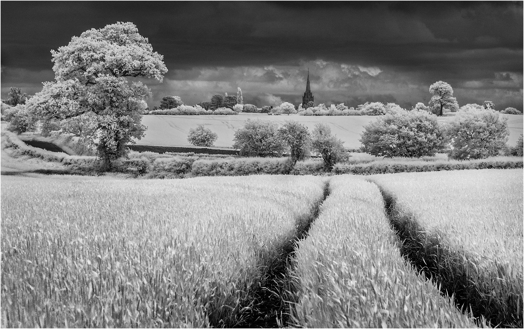 1st Place: Pattingham Crops (John White)
