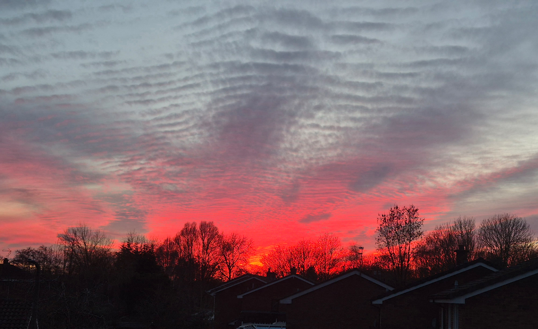 Commended: Scarlet Sunset (David Lloyd)