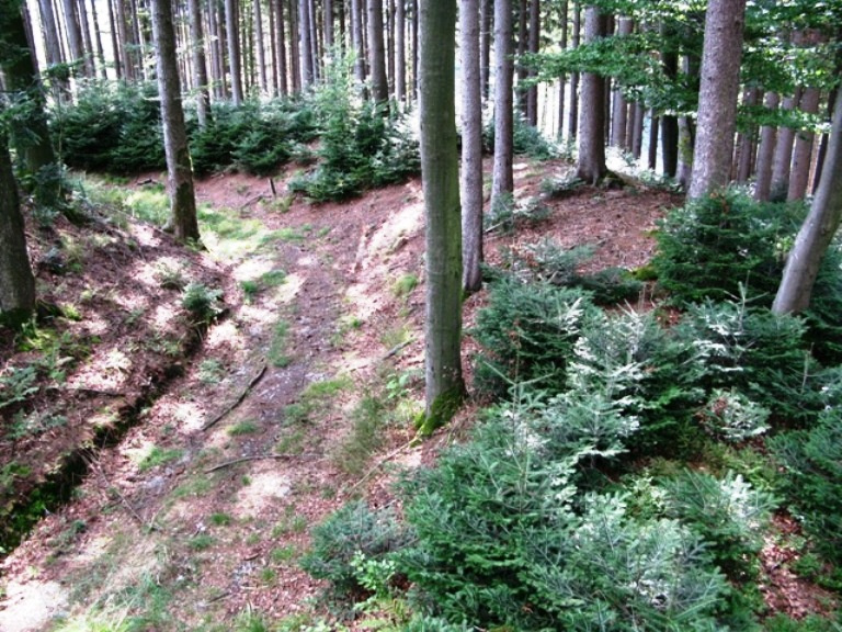 Buchberg - Innenring - Nordseite