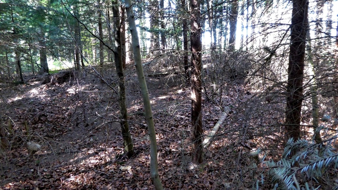 Tumulus 2 - Ostansicht