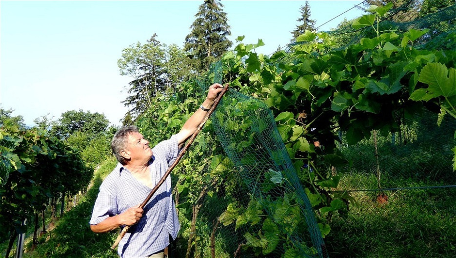 Hilfe bietet ein Stock mit Gabel