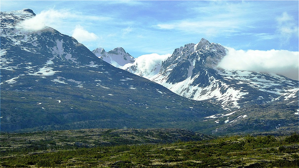 Karge Vegetation - raue Bergwelt !