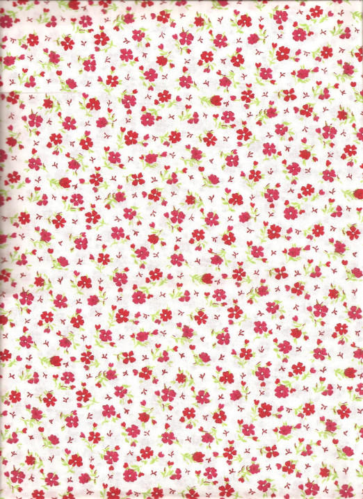 OZNAKA MODELA:  251