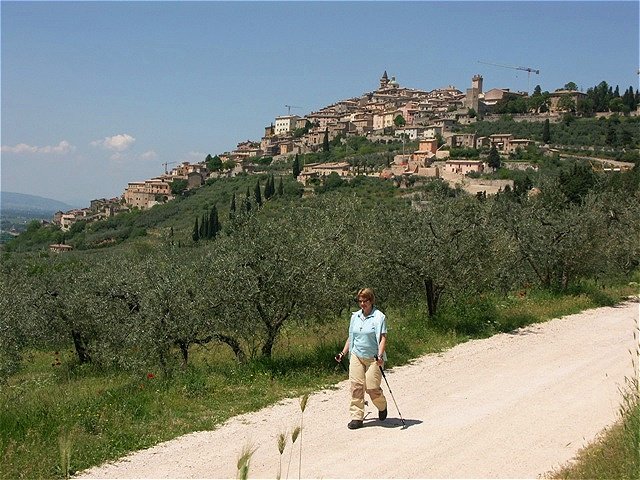 Trevi nennt sich "capitale dell'olio d'oliva", Hauptstadt des Olivenöls