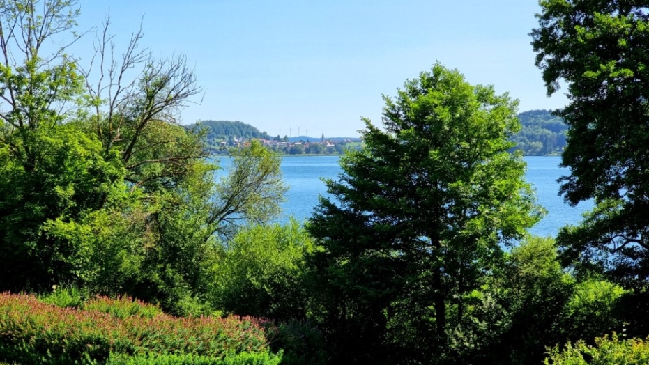 Am Nordufer des Obertrumer Sees