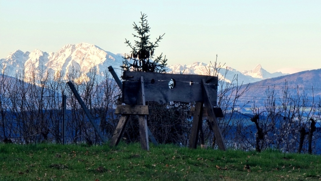 Schandgeige auf dem Burgstall