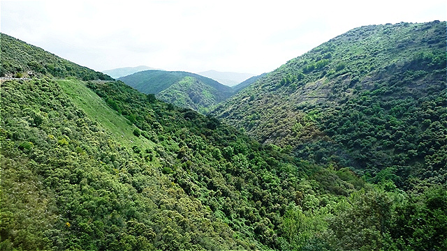 Montes de Leòn - steile Hänge, mit dichter Vegetation