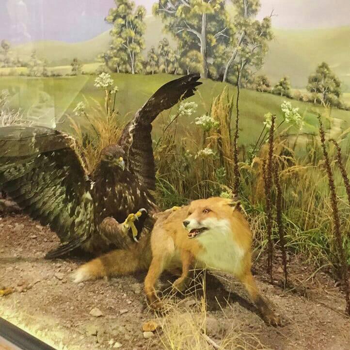 Αναπαράσταση 
κύκλου ζωής