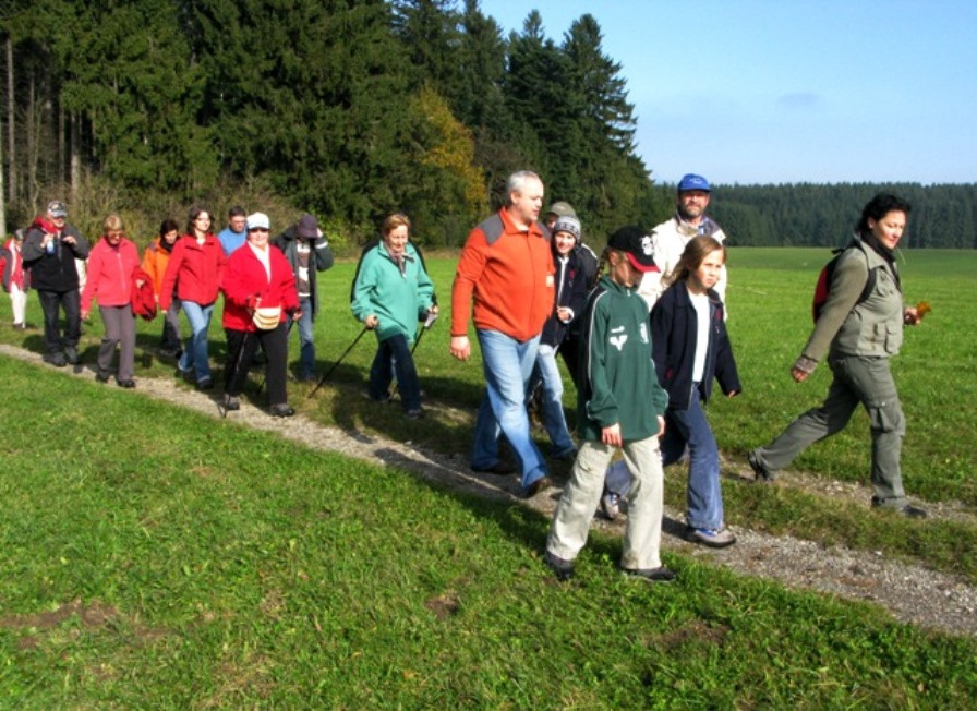 Krenwald - eine Endmoräne -kurz vor Utzweih