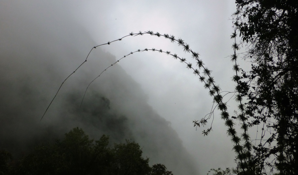 Luftfeuchtigkeit 98 Pozent