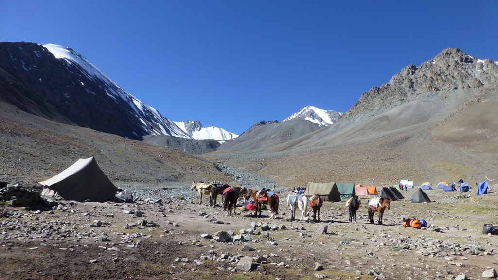 Packtiere im Basistlager
