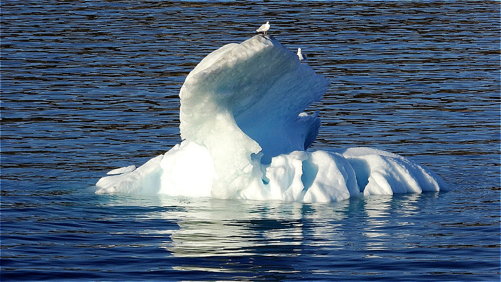 Bevorzugter Rastplatz für Seevögel !
