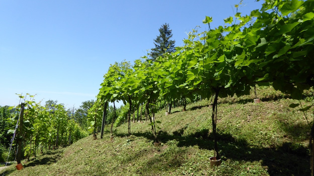 Kurve von Ost nach Süd und West