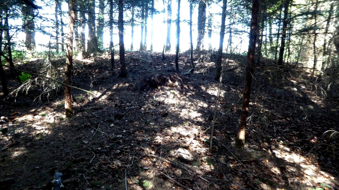 Tumulus 2 - Grabungsspuren