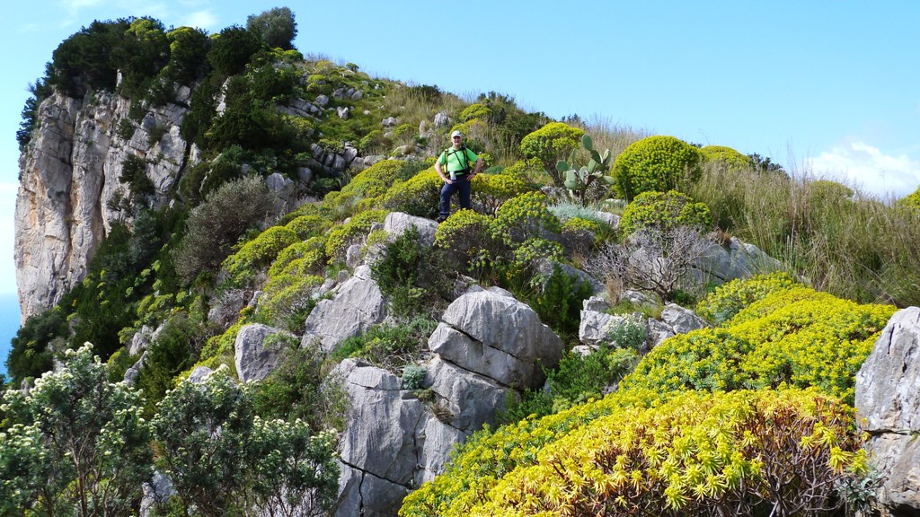 Gut getarnt - der Umgebung angepasst !