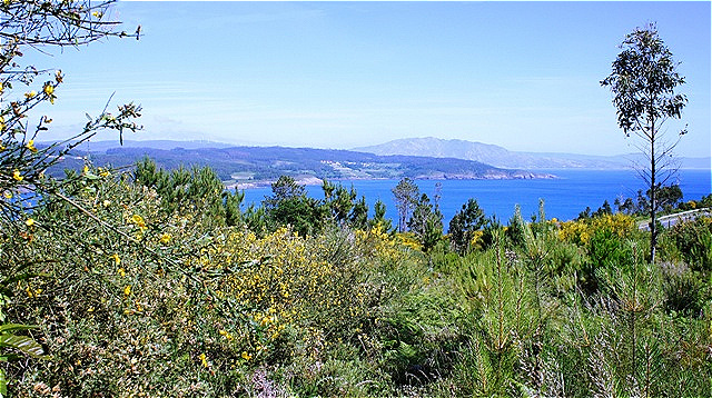 Herrlicher Ausblick über die Bucht Richtung Osten
