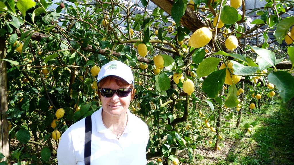 Irene genießt die Führung