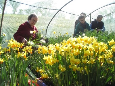 Members admiring just some of the many blooms.