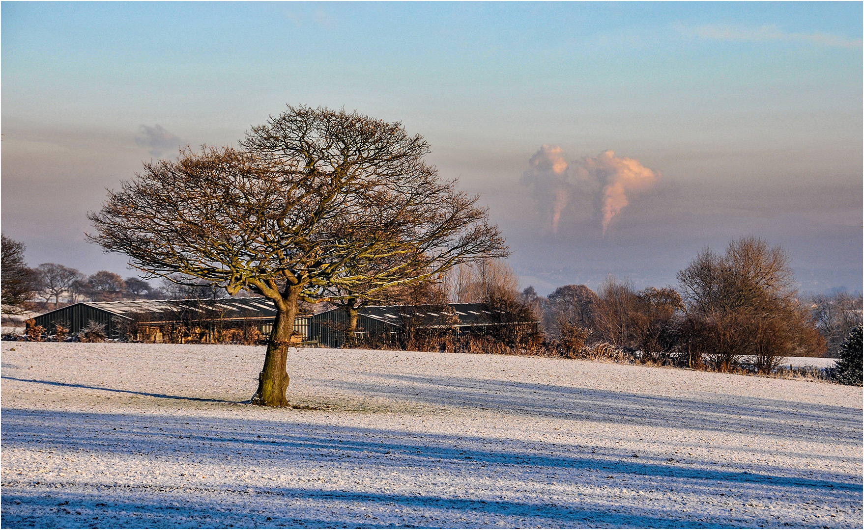 Highly Commended: Frosty Morning (Bryan Organ)