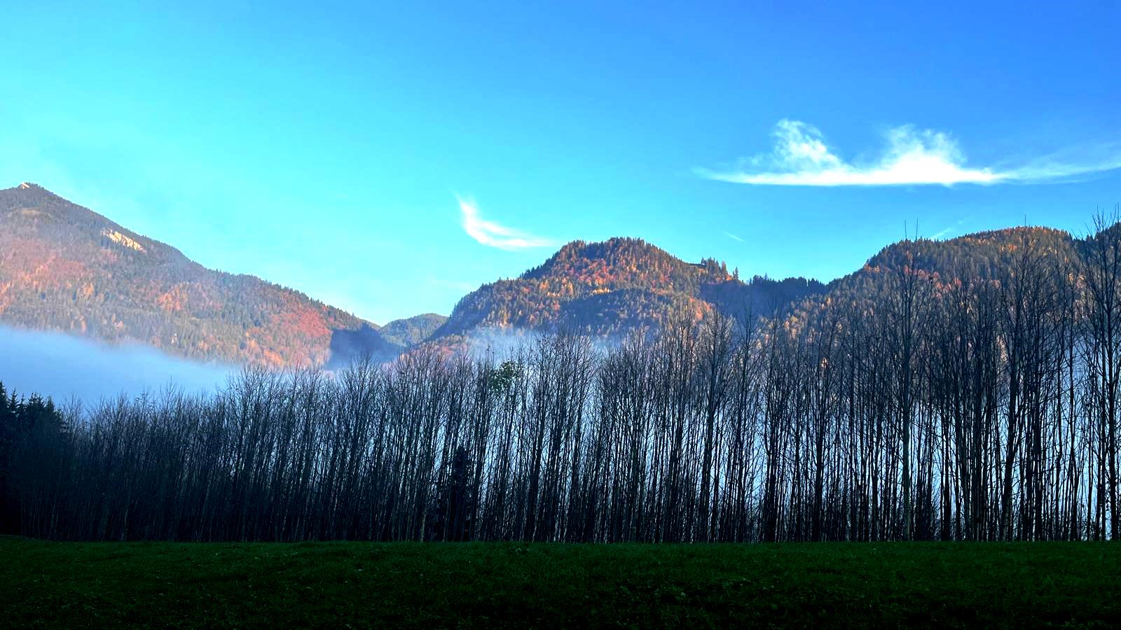 8. Nov. 2024 - Tour auf den Spitzstein 1.596 m Chiemgauer Alpen
