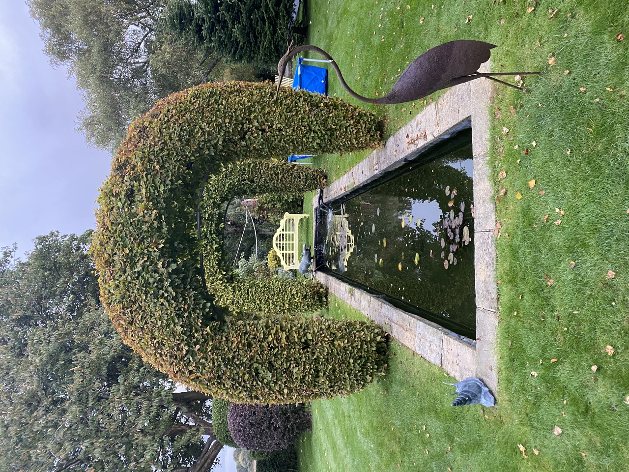 Pond Rebuild 2020